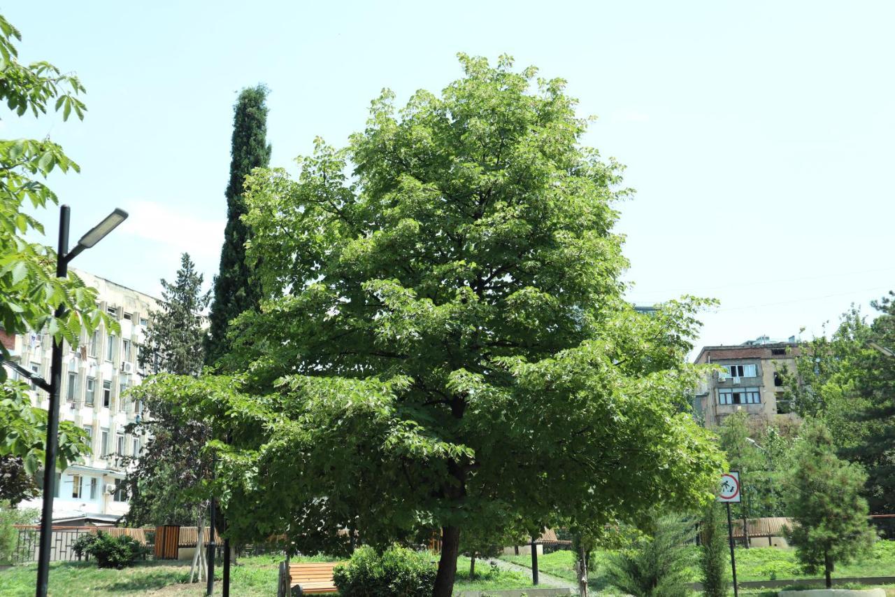 Comfort Lux Tiflis Exterior foto